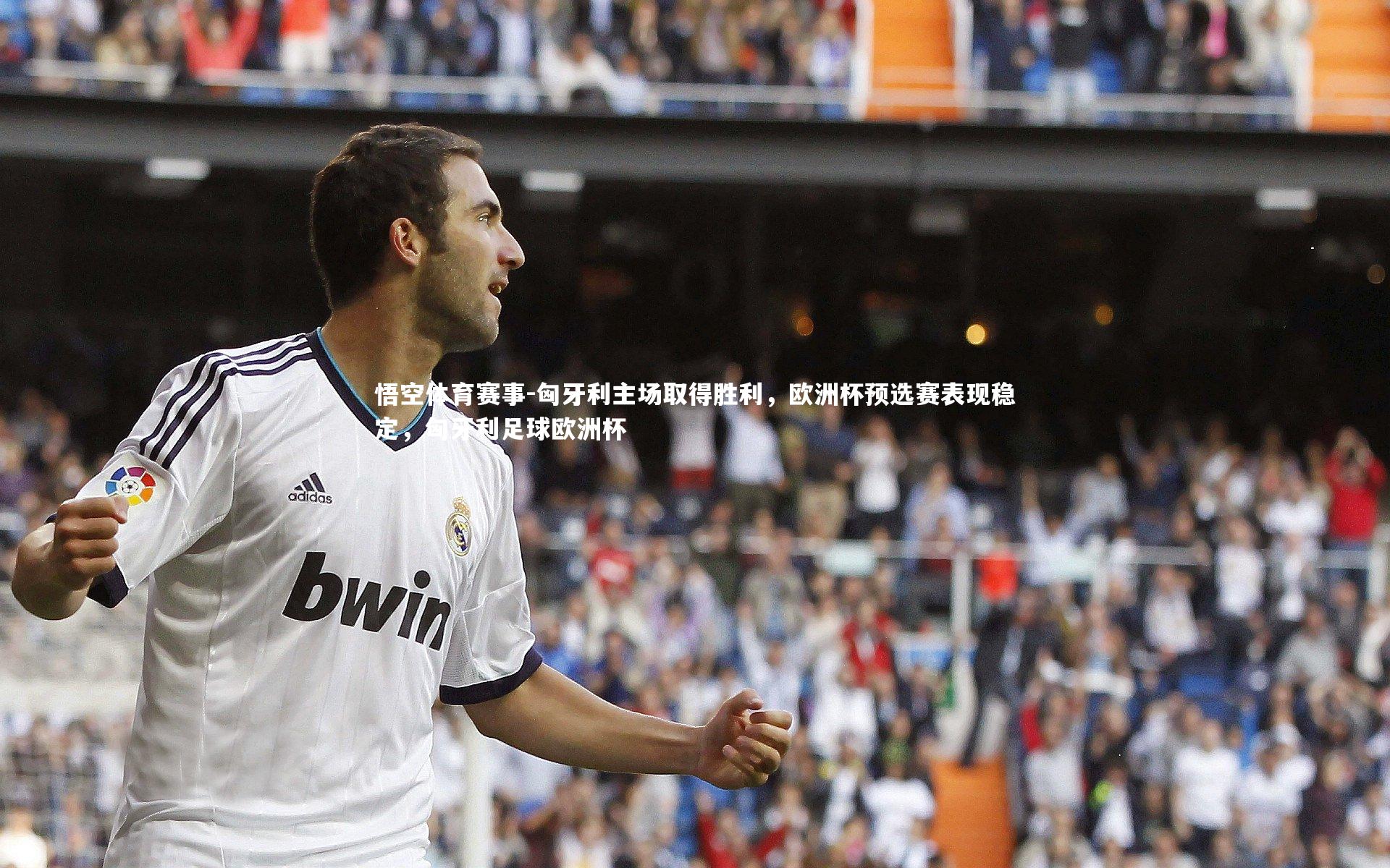 匈牙利主场取得胜利，欧洲杯预选赛表现稳定，匈牙利足球欧洲杯