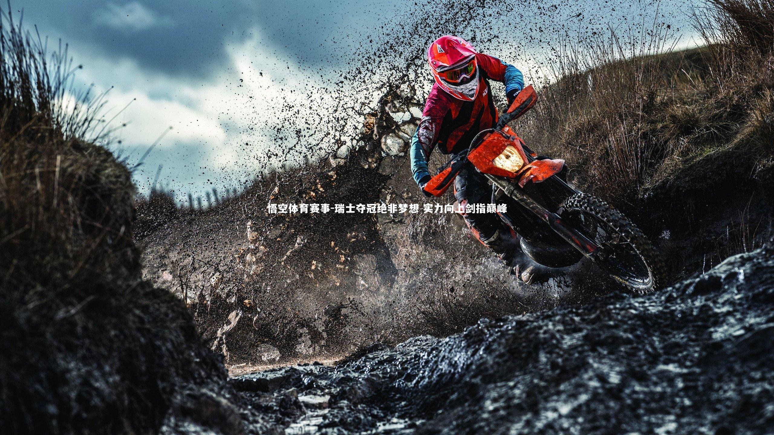 瑞士夺冠绝非梦想 实力向上剑指巅峰